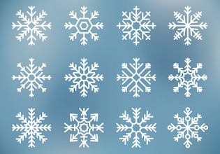 Snowflake vectors