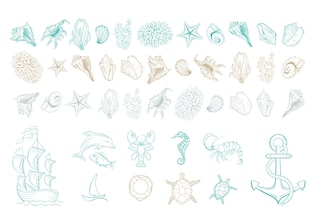 Ocean symbols
