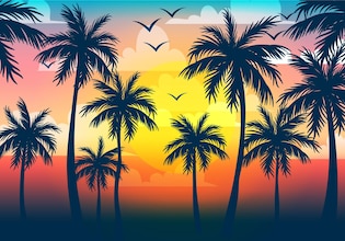Palm tree backgrounds