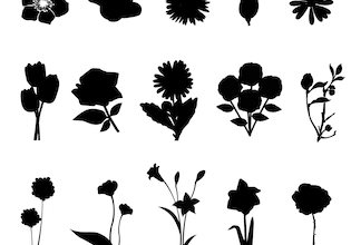 Flower silhouettes